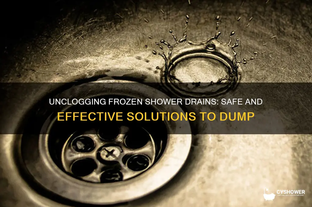 what can you dump down a frozen shower drain