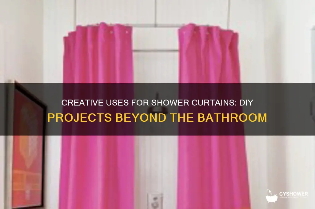 what can you make out of a shower curtain