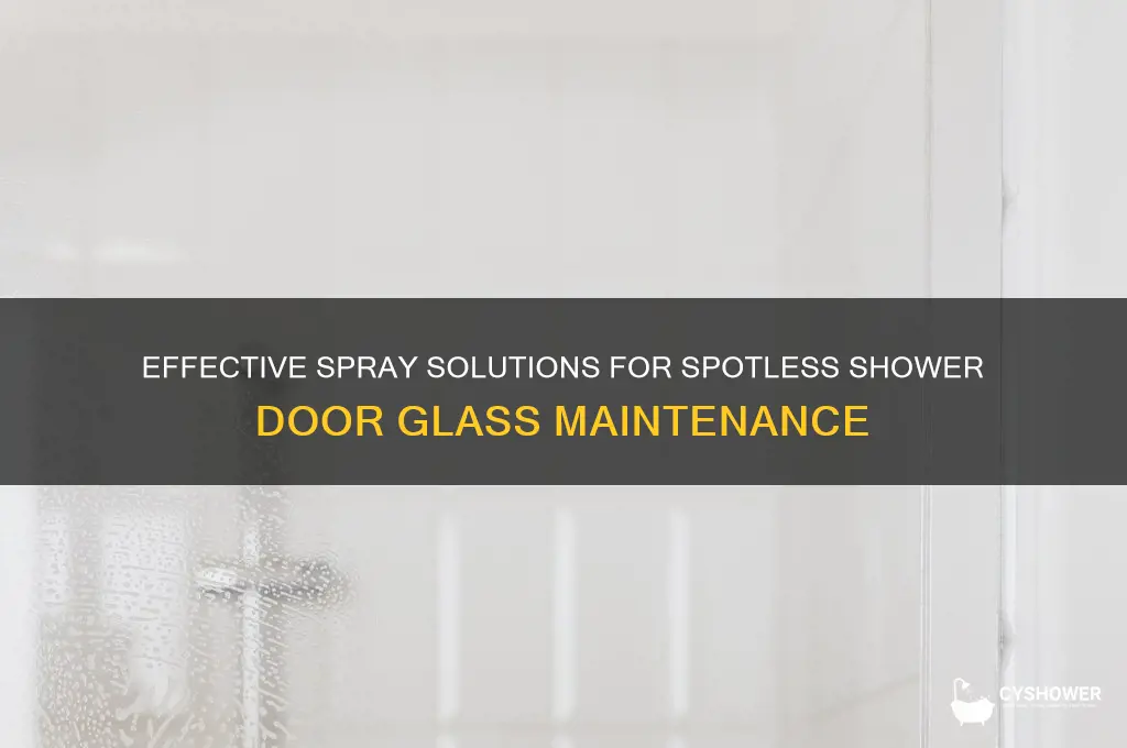 what can you spray on a shower door glass