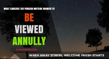 Annual Perseid Meteor Shower: Causes and Celestial Origins Explained