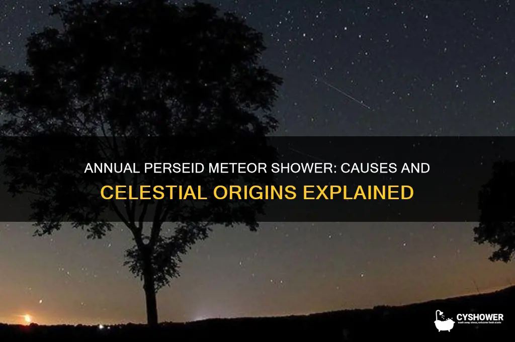 what caus3es the perseid meteor shower to be viewed annully