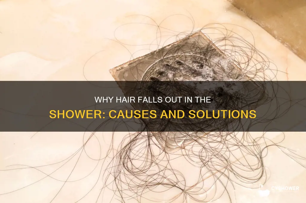 what cause hair losing during shower