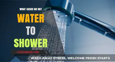 Why Your Shower Has No Hot Water: Common Causes and Fixes
