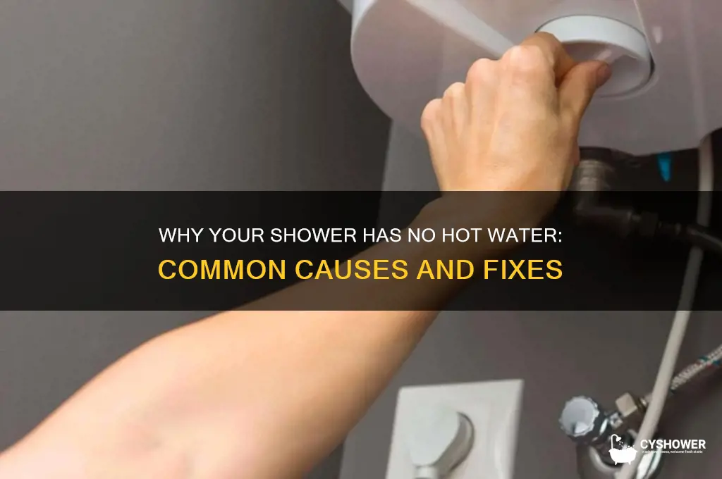 what cause no hot water to shower