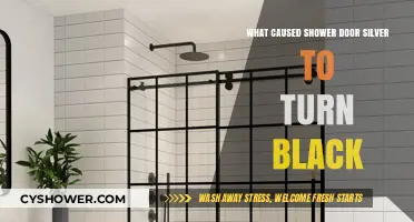 Why Shower Door Silver Turns Black: Causes and Solutions Explained