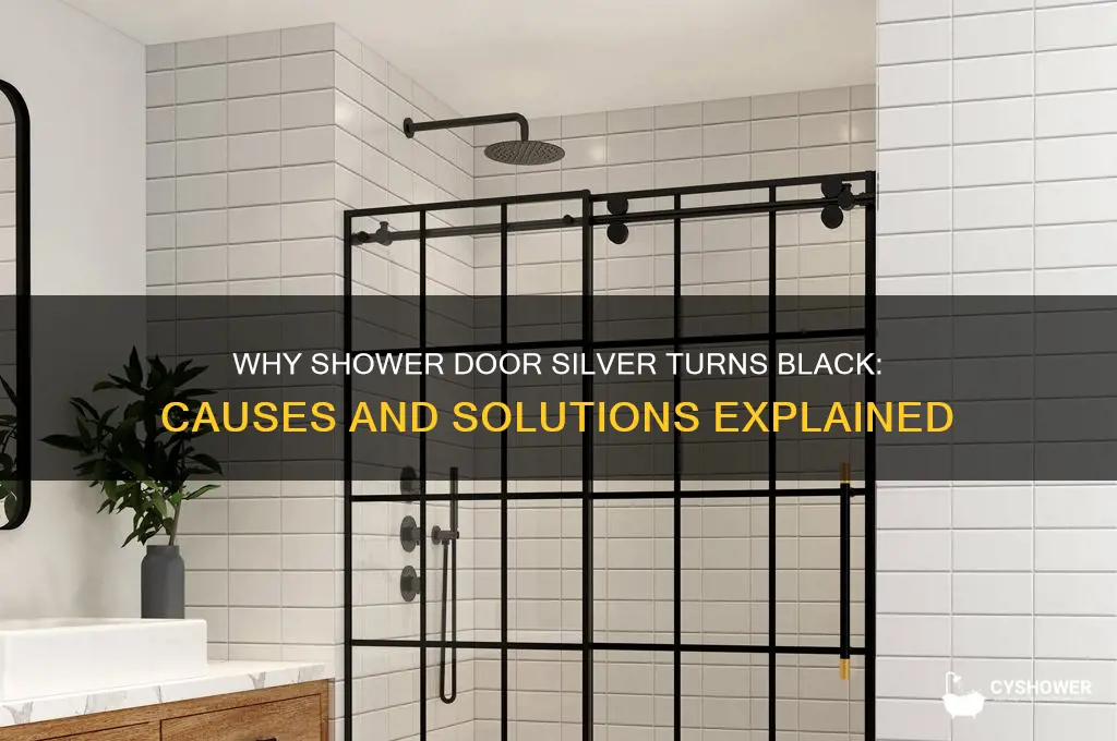 what caused shower door silver to turn black