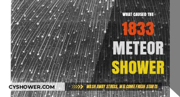 Unveiling the Celestial Spectacle: The 1833 Meteor Shower's Origins
