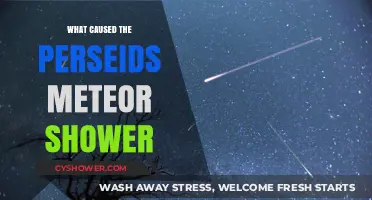 Unveiling the Cosmic Origins of the Perseids Meteor Shower