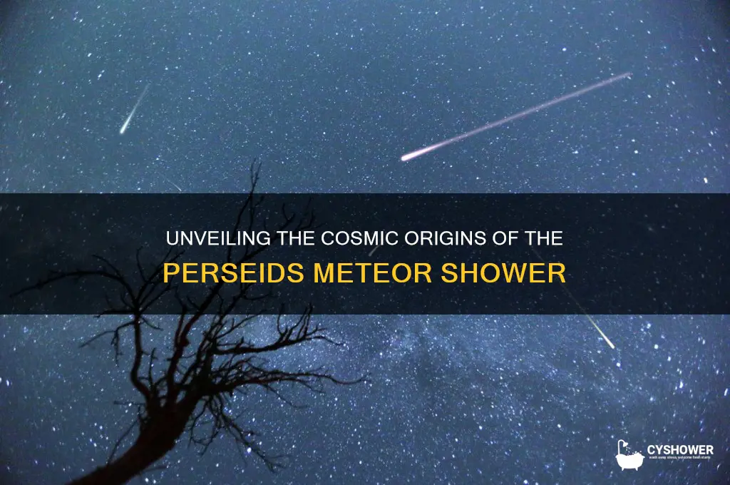 what caused the perseids meteor shower