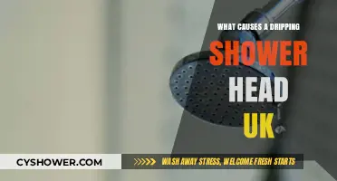 Why Is My Shower Head Dripping? Common UK Causes Explained