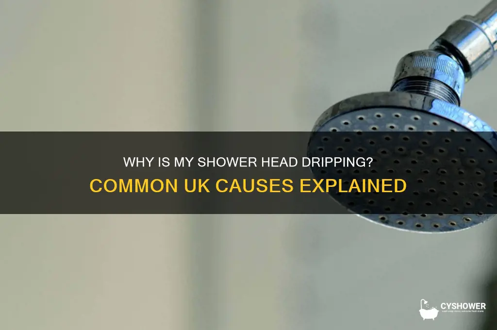 what causes a dripping shower head uk
