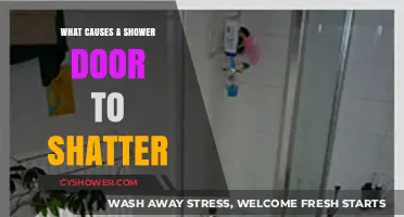 Why Shower Doors Shatter: Common Causes and Prevention Tips