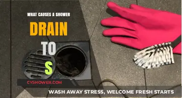 Why Your Shower Drain Stops Working: Common Causes and Fixes