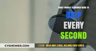 Why Your Shower Head Drips Every Second: Common Causes Explained