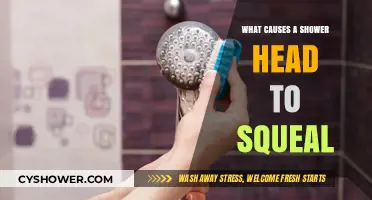 Why Does My Shower Head Squeal? Common Causes and Fixes