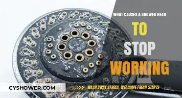 Why Your Shower Head Stops Working: Common Causes and Fixes