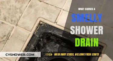 Why Your Shower Drain Smells Bad and How to Fix It