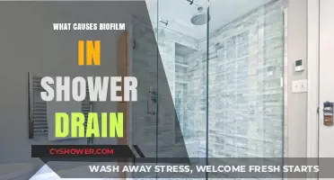 Understanding Biofilm: Causes and Prevention in Shower Drains