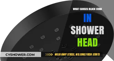 Why Your Shower Head Has Black Gunk and How to Fix It