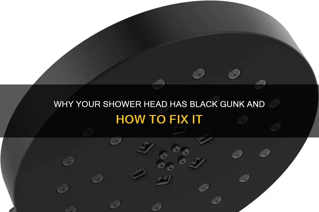 what causes black gunk in shower head