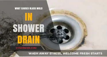 Understanding the Causes of Black Mold in Shower Drains