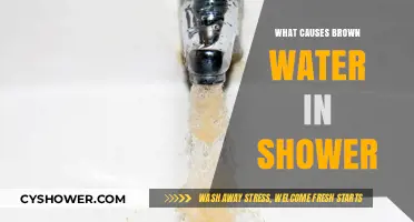 Why Is My Shower Water Brown? Common Causes and Fixes
