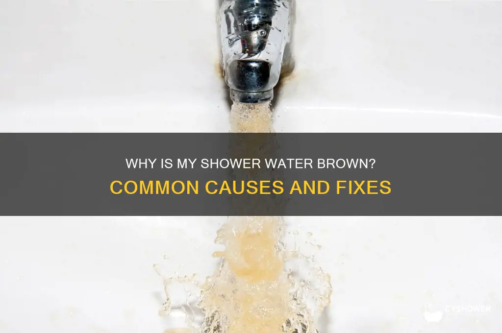 what causes brown water in shower
