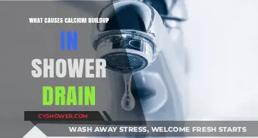 Preventing Calcium Buildup: Understanding Causes in Your Shower Drain