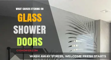 Understanding the Causes of Etching on Glass Shower Doors