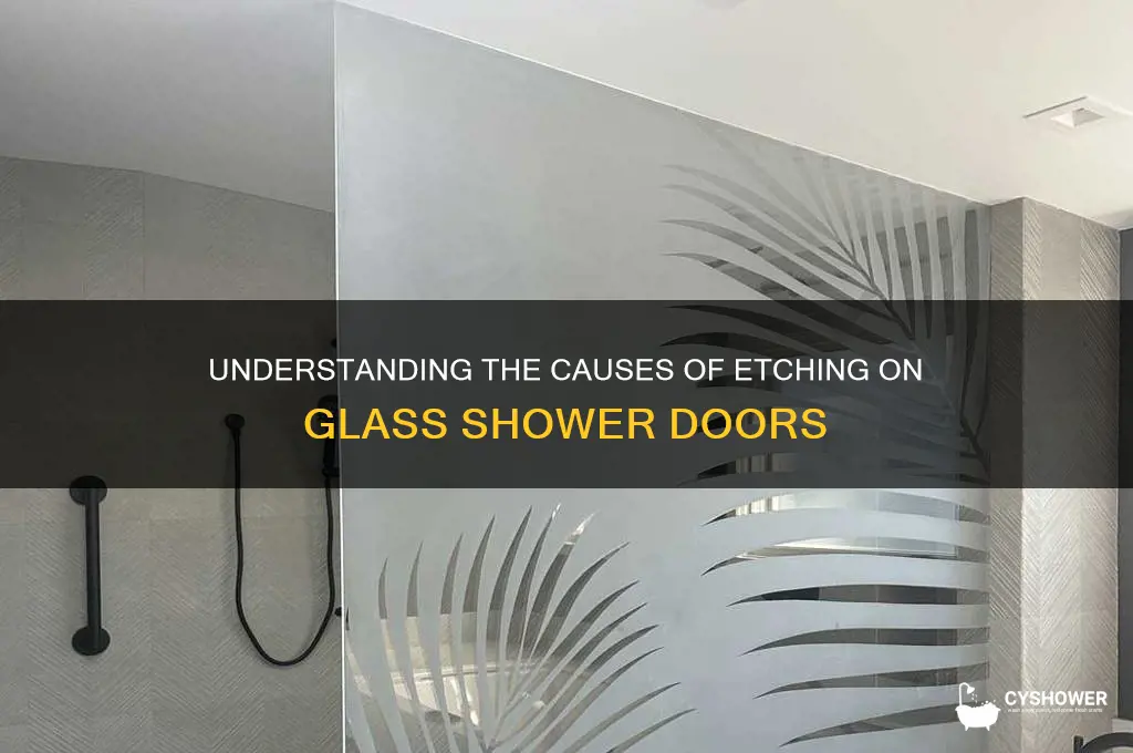 what causes etching on glass shower doors