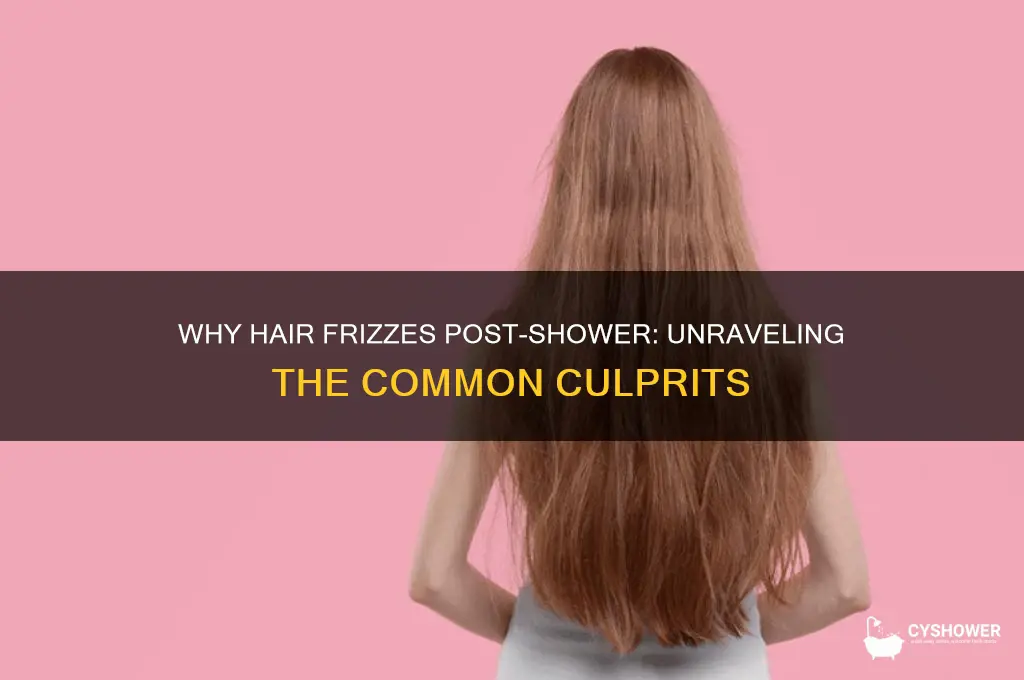 what causes frizzy hair after a shower