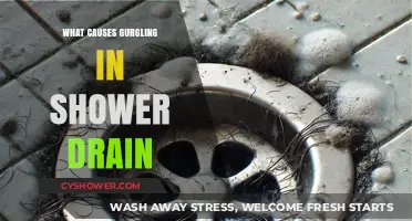 Why Your Shower Drain Gurgles: Common Causes and Quick Fixes