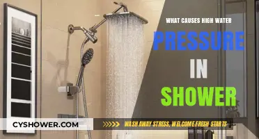 Understanding the Causes of High Water Pressure in Your Shower