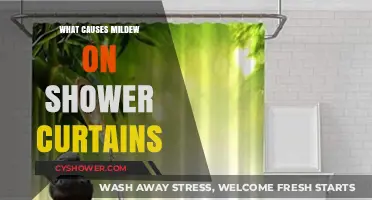 Preventing Mildew: Understanding Causes of Shower Curtain Mold Growth