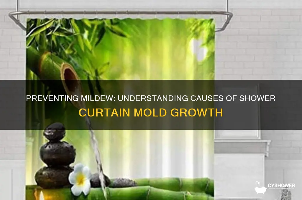 what causes mildew on shower curtains