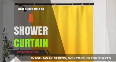 Why Mold Grows on Shower Curtains and How to Prevent It