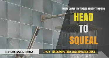 Why Does My Delta Shower Head Squeal? Common Causes Explained