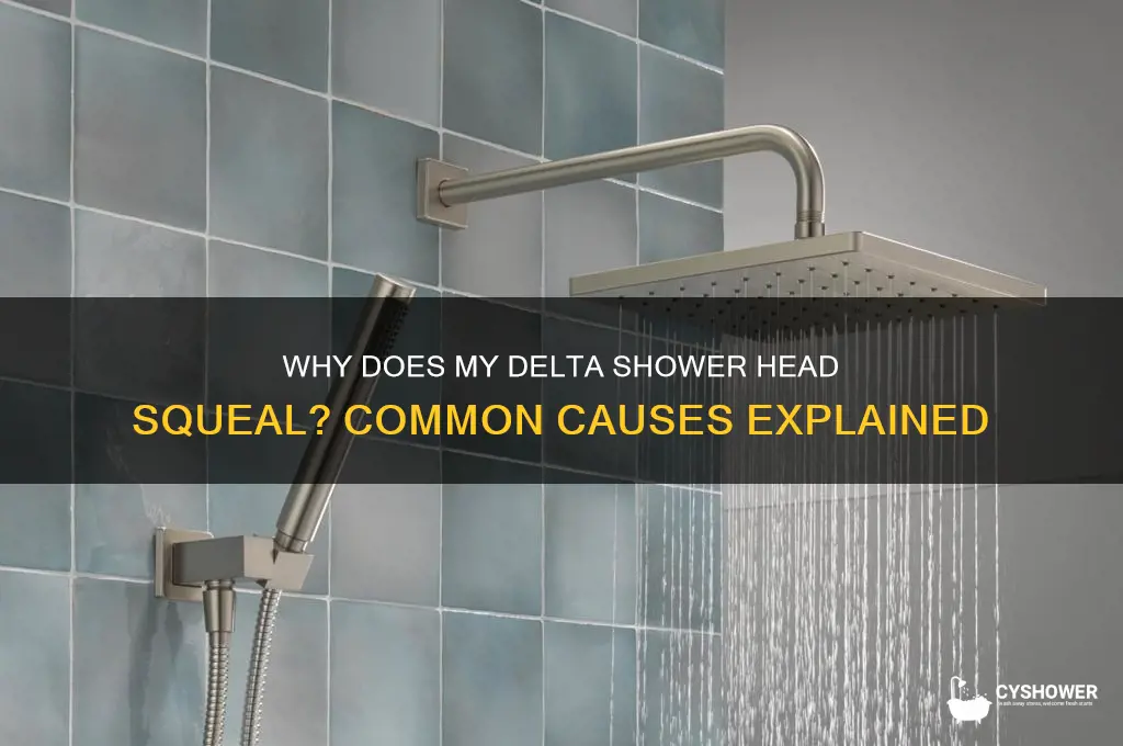 what causes my delta faucet shower head to squeal