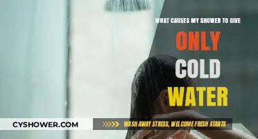 Why Your Shower Only Gives Cold Water: Common Causes Explained