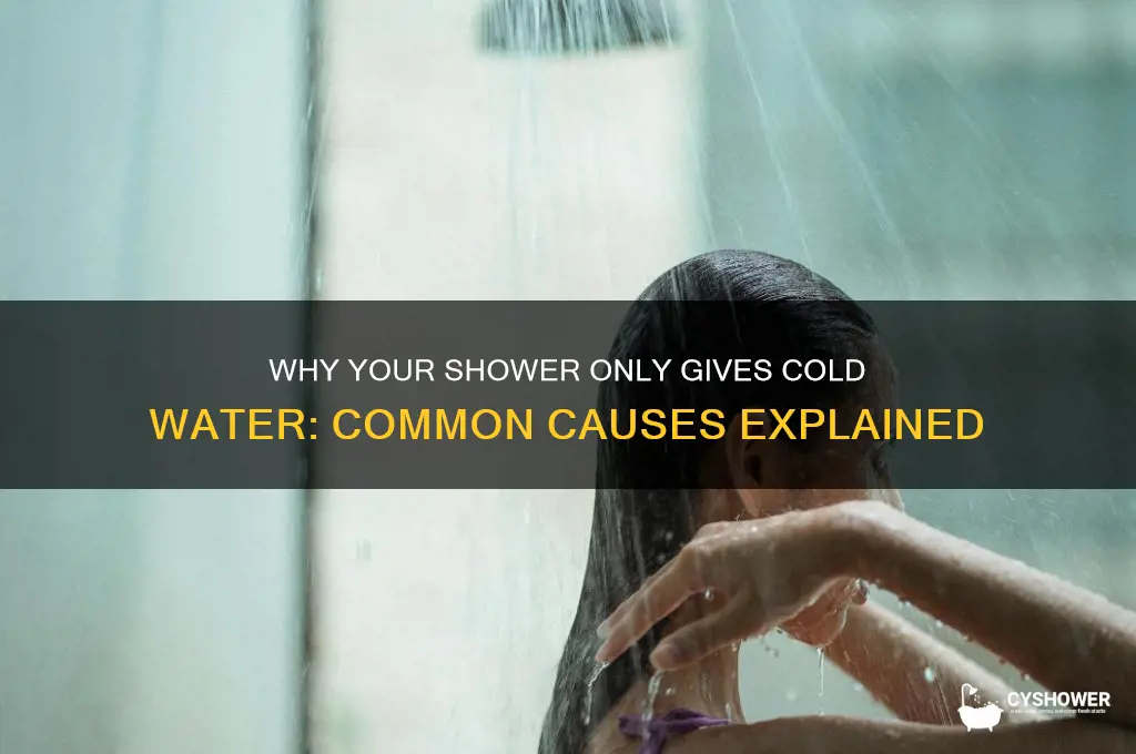 what causes my shower to give only cold water