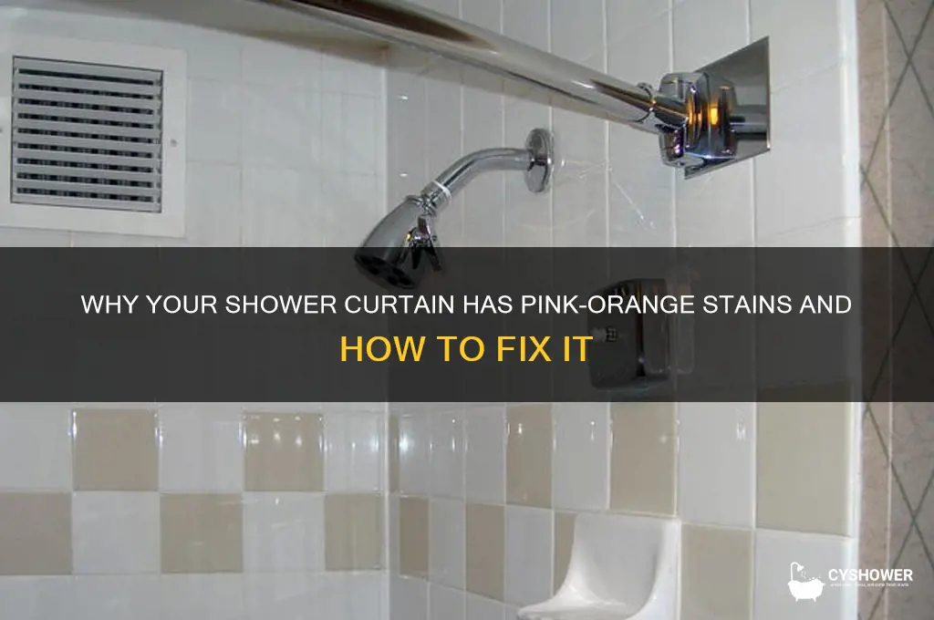 what causes pink orange stains on my shower curtain