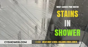 Pink Water Stains in Your Shower: Causes and Solutions Explained