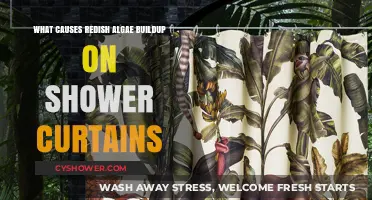 Why Redish Algae Grows on Shower Curtains and How to Prevent It