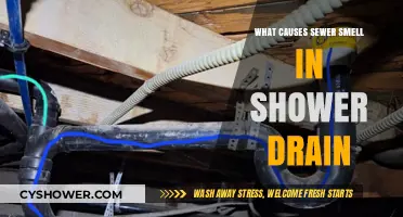 Why Your Shower Drain Smells Like Sewage: Causes and Fixes
