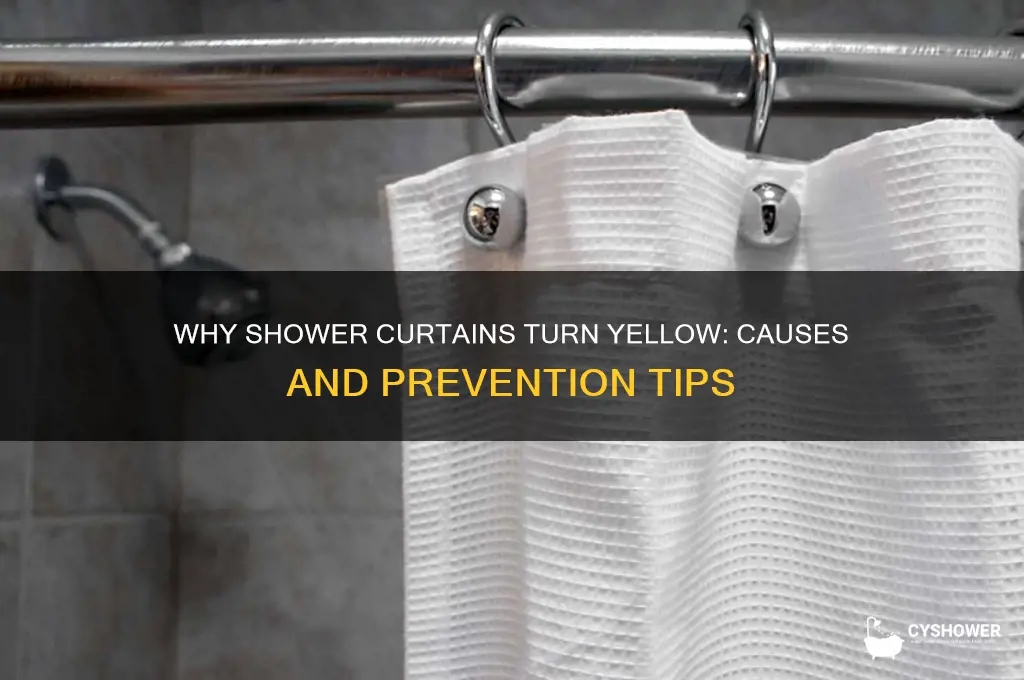 what causes shower curtain to change color at bottom