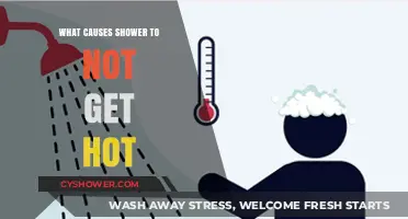 Why Your Shower Isn't Heating Up: Common Causes and Fixes