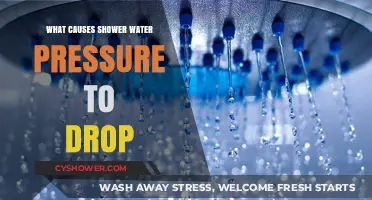 Why Your Shower Water Pressure Drops: Common Causes and Fixes