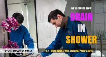 Why Your Shower Drains Slowly: Common Causes and Quick Fixes