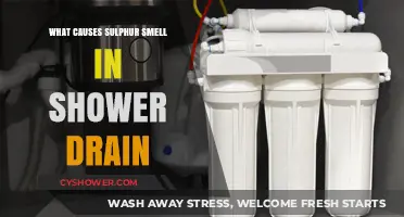 Why Your Shower Drain Smells Like Sulphur: Causes and Fixes