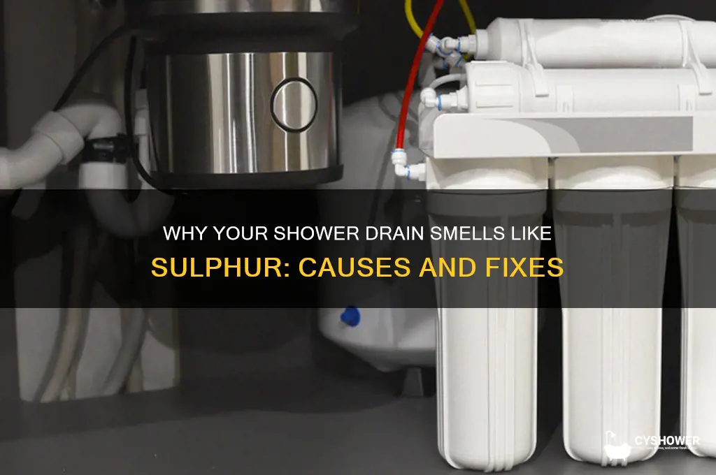 what causes sulphur smell in shower drain